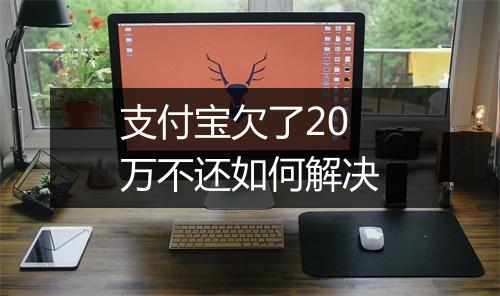支付宝欠了20万不还如何解决