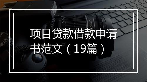 项目贷款借款申请书范文（19篇）