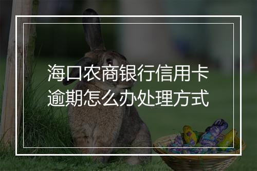 海口农商银行信用卡逾期怎么办处理方式