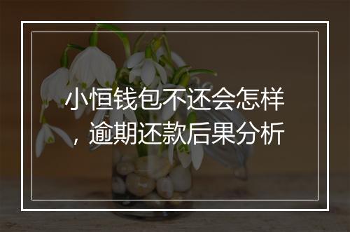 小恒钱包不还会怎样，逾期还款后果分析