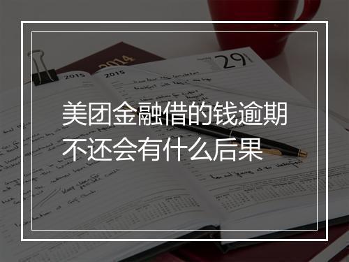 美团金融借的钱逾期不还会有什么后果