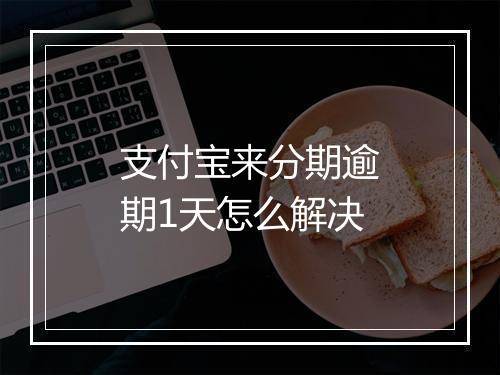 支付宝来分期逾期1天怎么解决