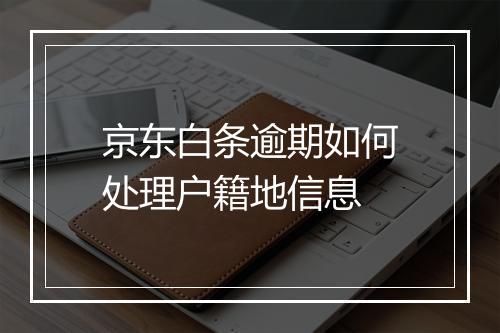 京东白条逾期如何处理户籍地信息