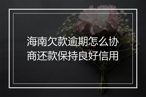 海南欠款逾期怎么协商还款保持良好信用