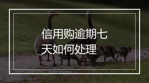 信用购逾期七天如何处理