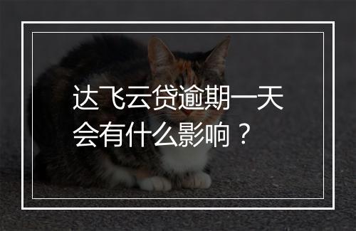 达飞云贷逾期一天会有什么影响？