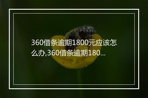 360借条逾期1800元应该怎么办,360借条逾期1800元后果严重吗