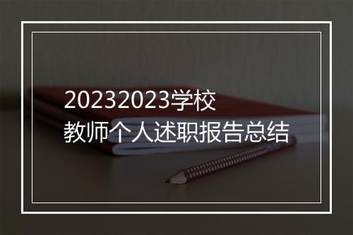 20232023学校教师个人述职报告总结