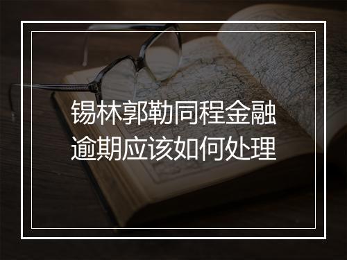 锡林郭勒同程金融逾期应该如何处理