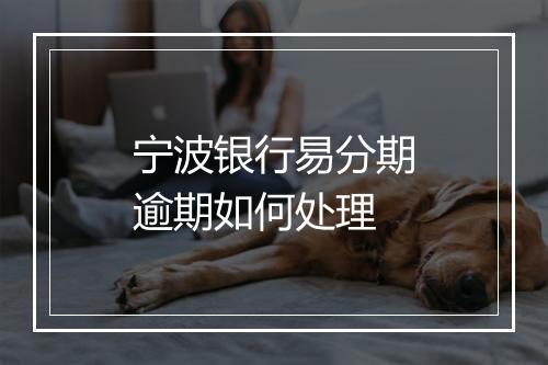 宁波银行易分期逾期如何处理