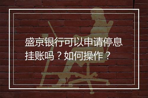 盛京银行可以申请停息挂账吗？如何操作？