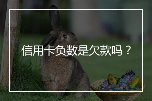 信用卡负数是欠款吗？