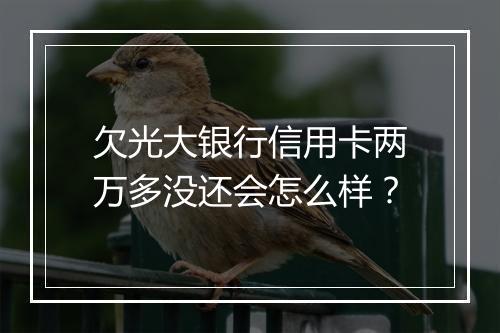 欠光大银行信用卡两万多没还会怎么样？