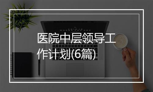 医院中层领导工作计划(6篇)