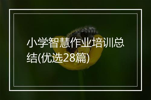 小学智慧作业培训总结(优选28篇)