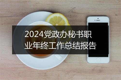 2024党政办秘书职业年终工作总结报告