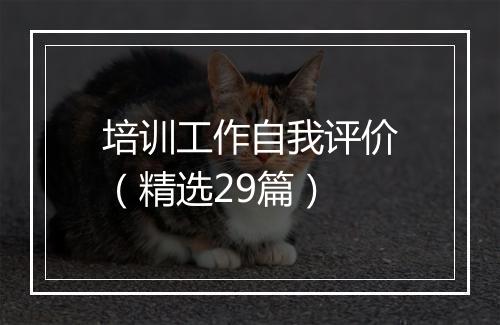 培训工作自我评价（精选29篇）
