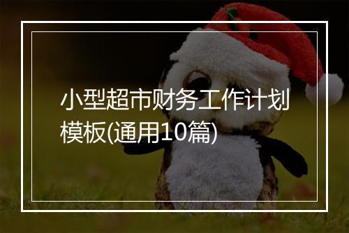 小型超市财务工作计划模板(通用10篇)