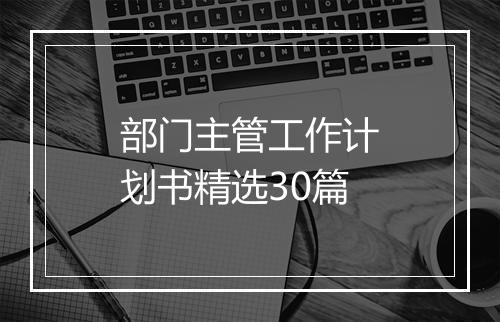 部门主管工作计划书精选30篇
