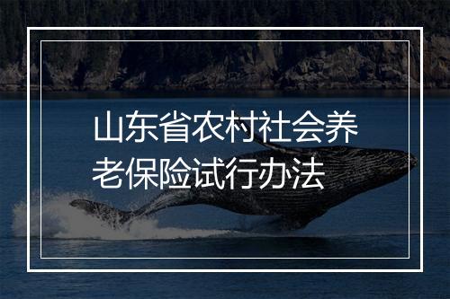 山东省农村社会养老保险试行办法