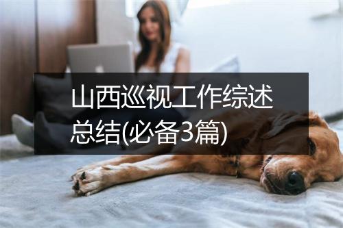 山西巡视工作综述总结(必备3篇)