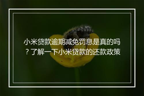 小米贷款逾期减免罚息是真的吗？了解一下小米贷款的还款政策