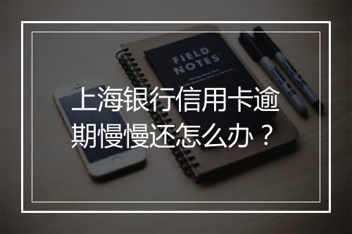 上海银行信用卡逾期慢慢还怎么办？