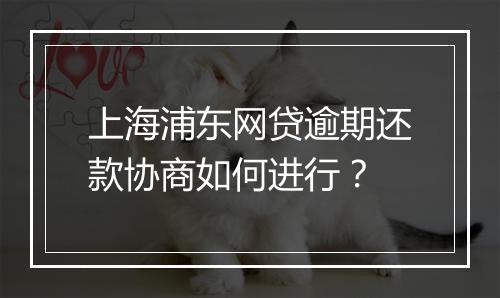 上海浦东网贷逾期还款协商如何进行？