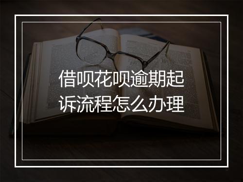 借呗花呗逾期起诉流程怎么办理