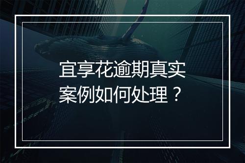 宜享花逾期真实案例如何处理？