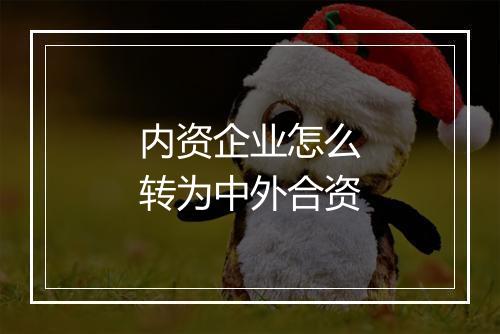 内资企业怎么转为中外合资