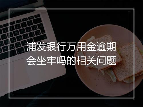 浦发银行万用金逾期会坐牢吗的相关问题