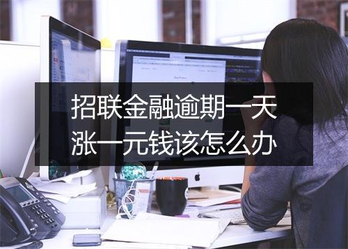 招联金融逾期一天涨一元钱该怎么办