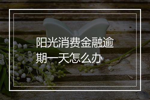 阳光消费金融逾期一天怎么办