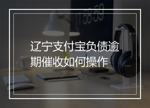 辽宁支付宝负债逾期催收如何操作