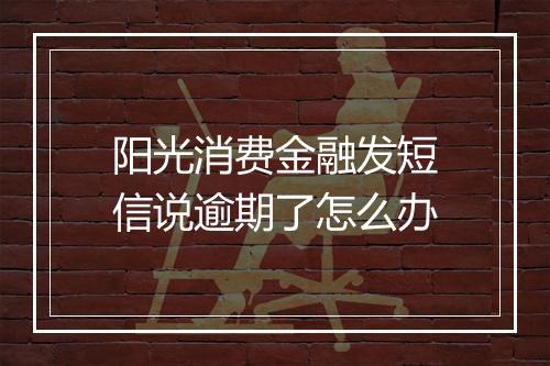 阳光消费金融发短信说逾期了怎么办