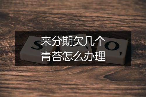 来分期欠几个青苔怎么办理