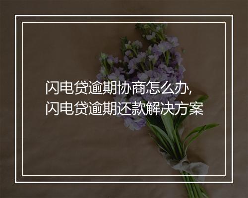 闪电贷逾期协商怎么办,闪电贷逾期还款解决方案