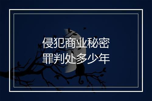 侵犯商业秘密罪判处多少年