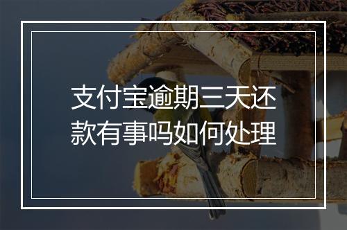 支付宝逾期三天还款有事吗如何处理