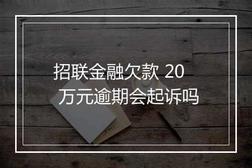 招联金融欠款 20 万元逾期会起诉吗