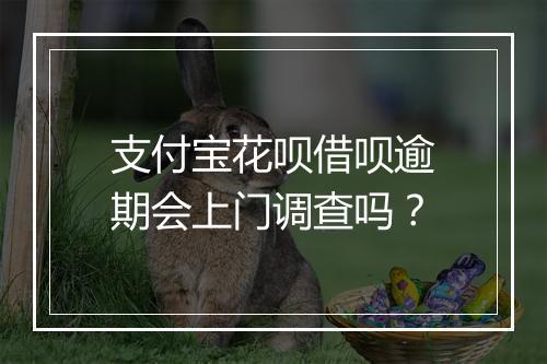 支付宝花呗借呗逾期会上门调查吗？