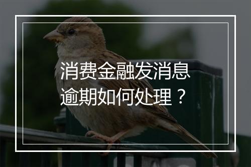 消费金融发消息逾期如何处理？