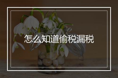 怎么知道偷税漏税