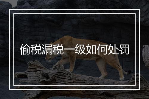 偷税漏税一级如何处罚