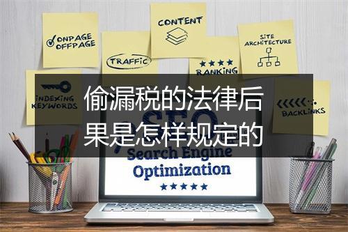 偷漏税的法律后果是怎样规定的