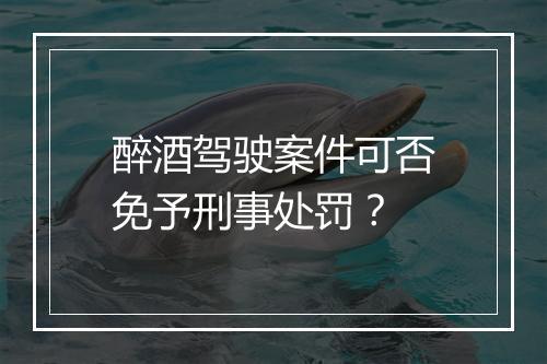 醉酒驾驶案件可否免予刑事处罚？
