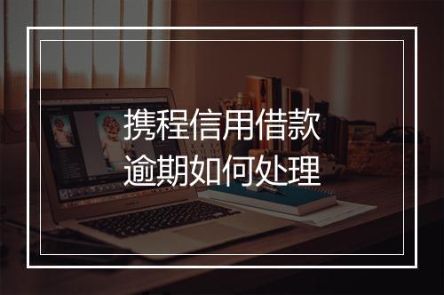 携程信用借款逾期如何处理
