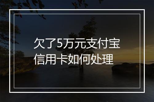 欠了5万元支付宝信用卡如何处理