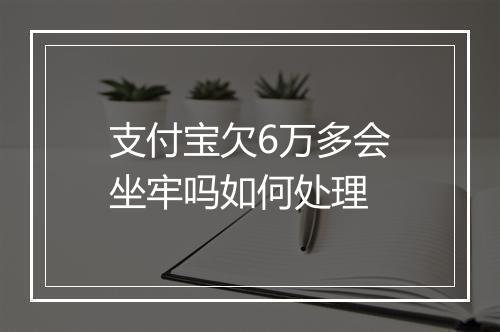 支付宝欠6万多会坐牢吗如何处理